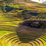 Maras Moray