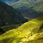 Tour Cusco y Machu Picchu 4 dias - Imagen 5
