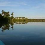 Lago amazónico rodeado de palmeras aguaje al atardecer