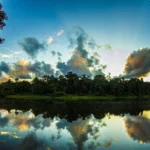 Atardecer reflejado en un río de la selva amazónica